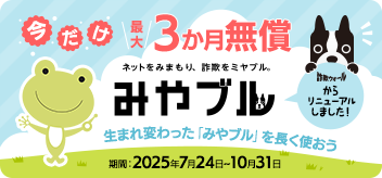 bnr352x164_miyabull3month