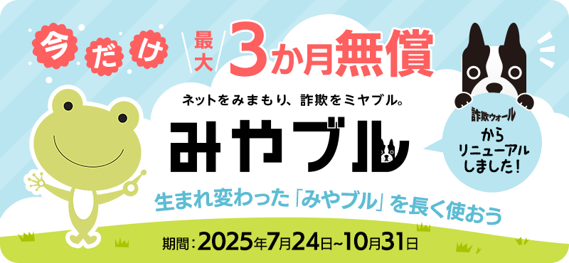 bnr800x370_miyabull3month